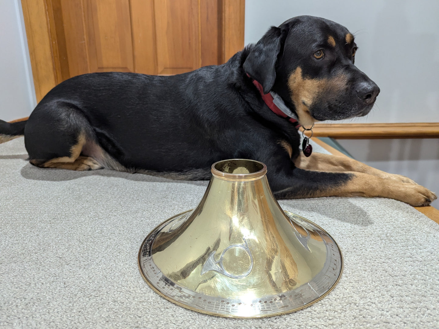 Vintage Conn 14D: Sigfried’s Call Bell