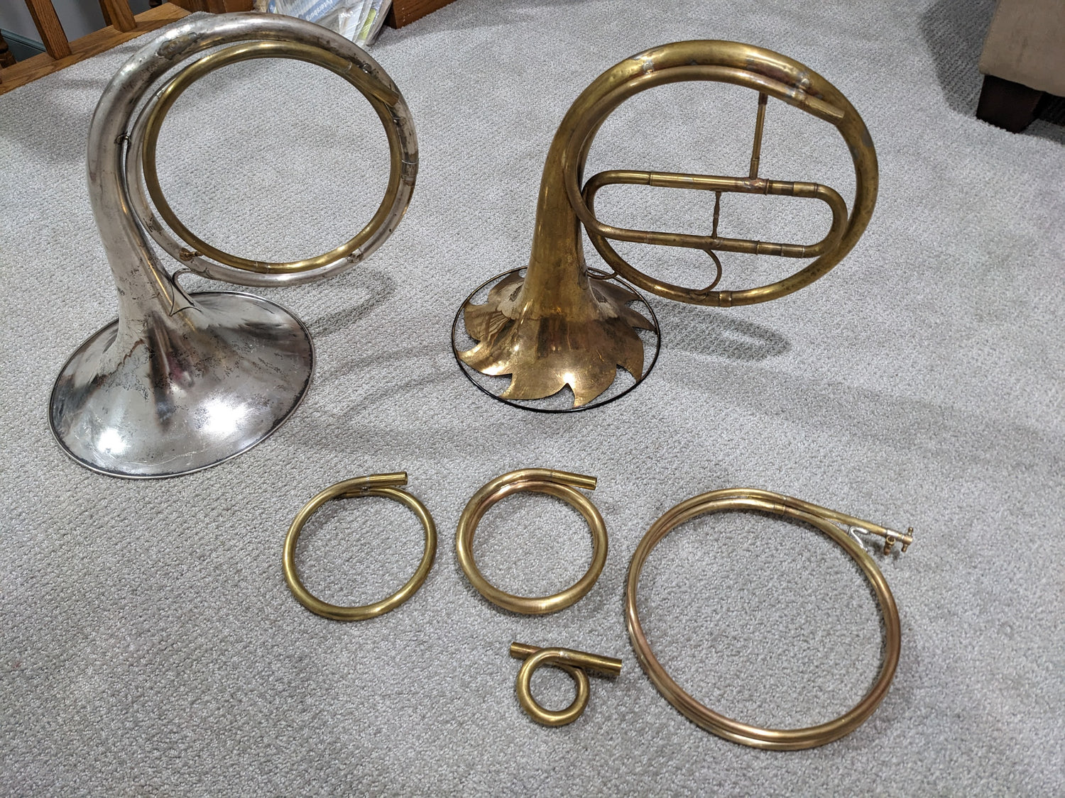 Natural Horns