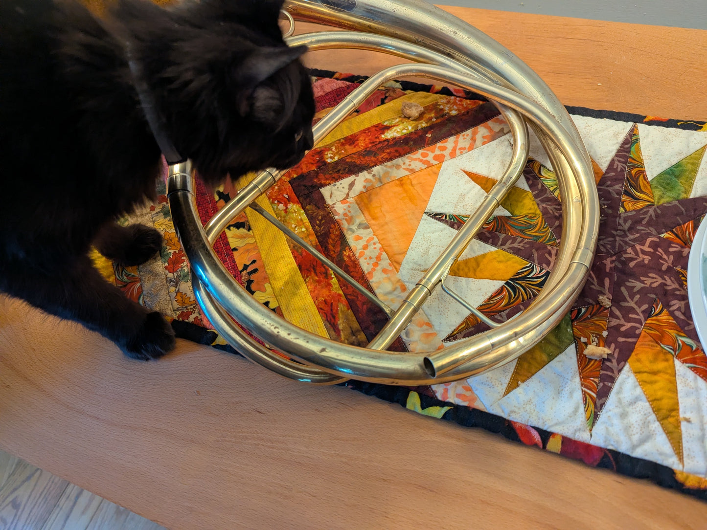 Fixed bell natural horn from vintage bell (Kristy Rispens)