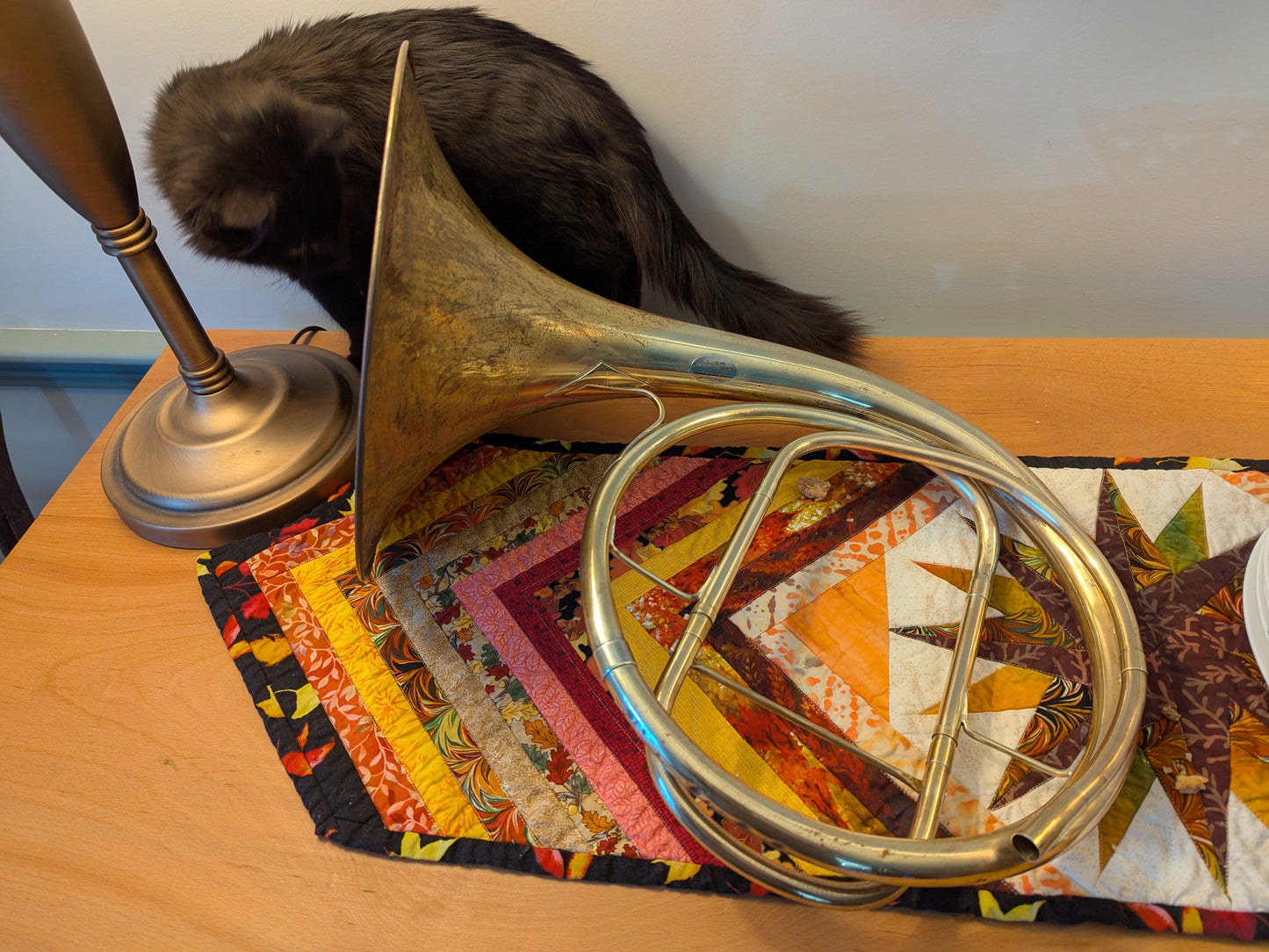 Fixed bell natural horn from vintage bell (Kristy Rispens)