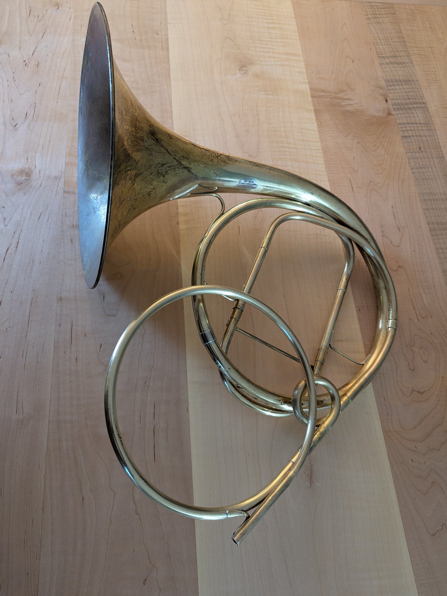 Fixed bell natural horn from vintage bell (Kristy Rispens)