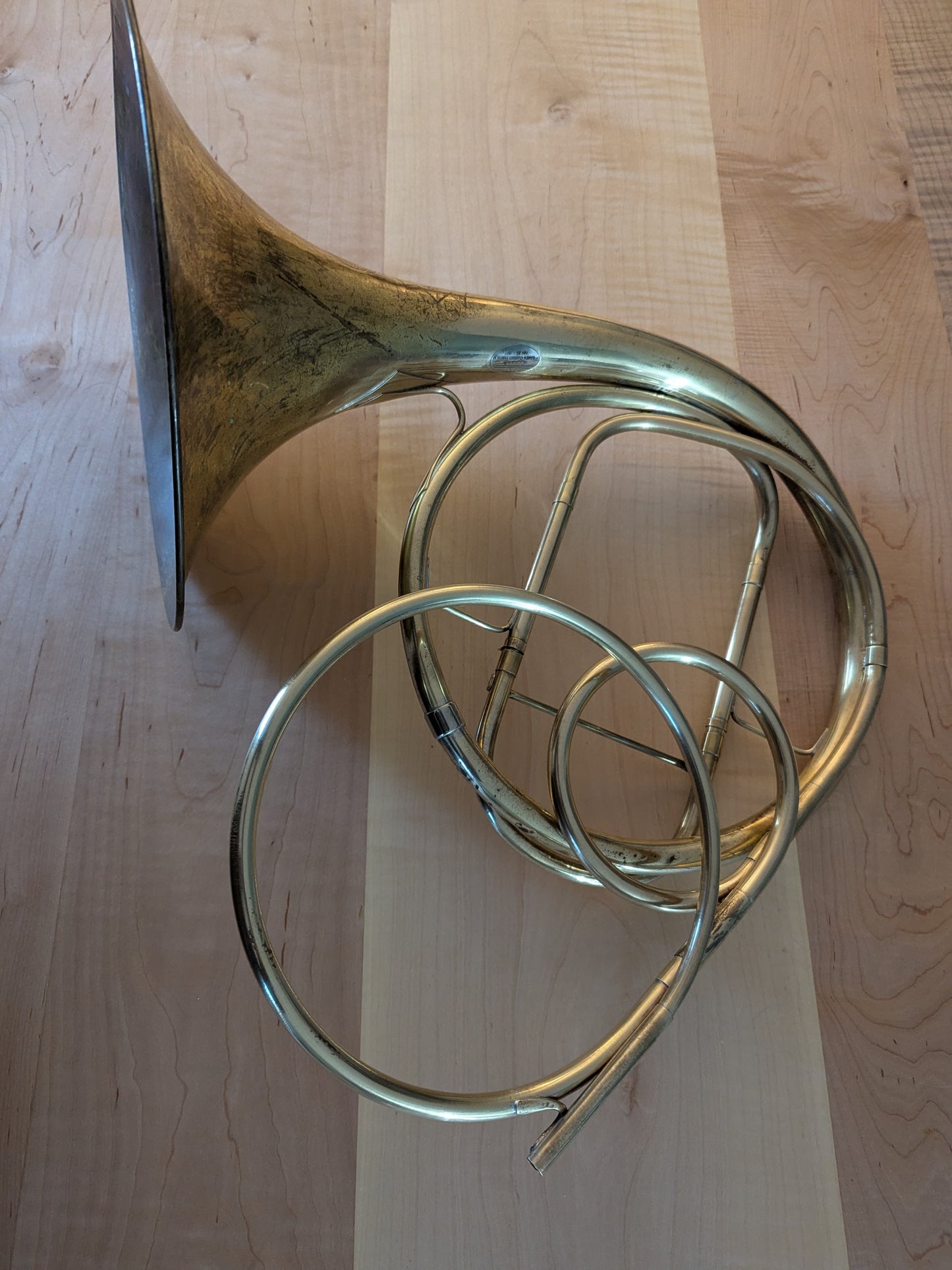 Fixed bell natural horn from vintage bell (Kristy Rispens)