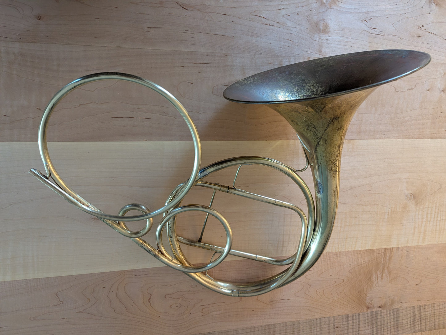 Fixed bell natural horn from vintage bell (Kristy Rispens)