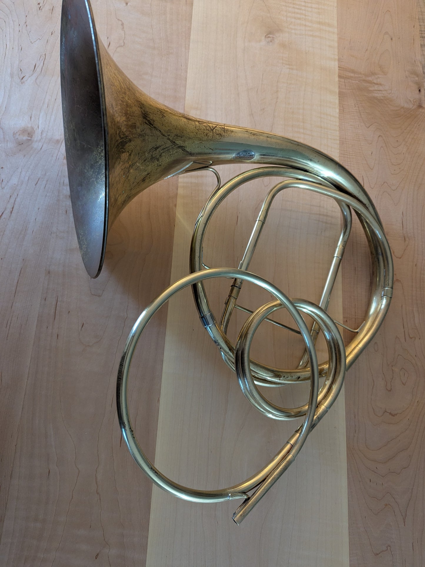 Fixed bell natural horn from vintage bell (Kristy Rispens)
