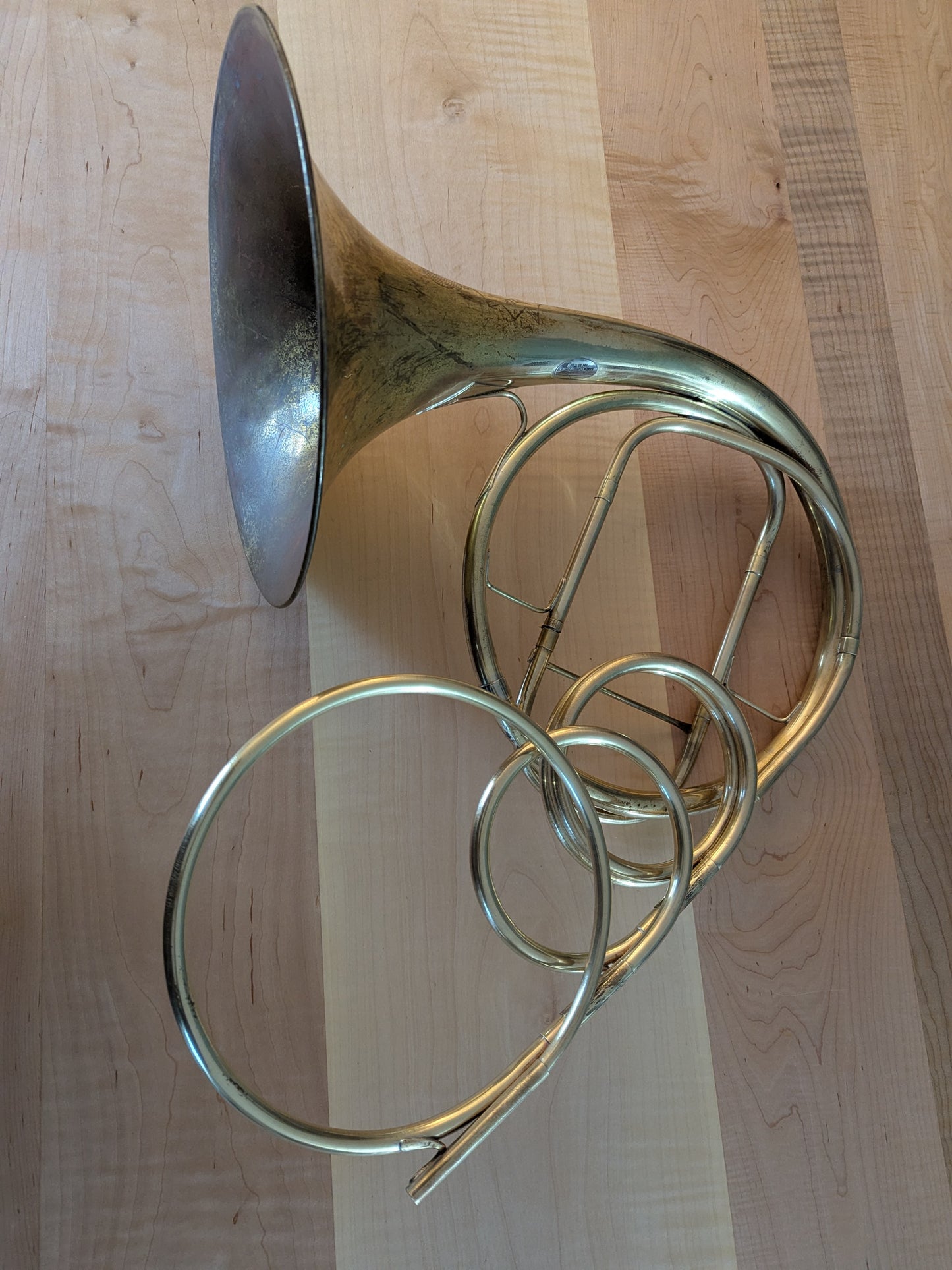 Fixed bell natural horn from vintage bell (Kristy Rispens)