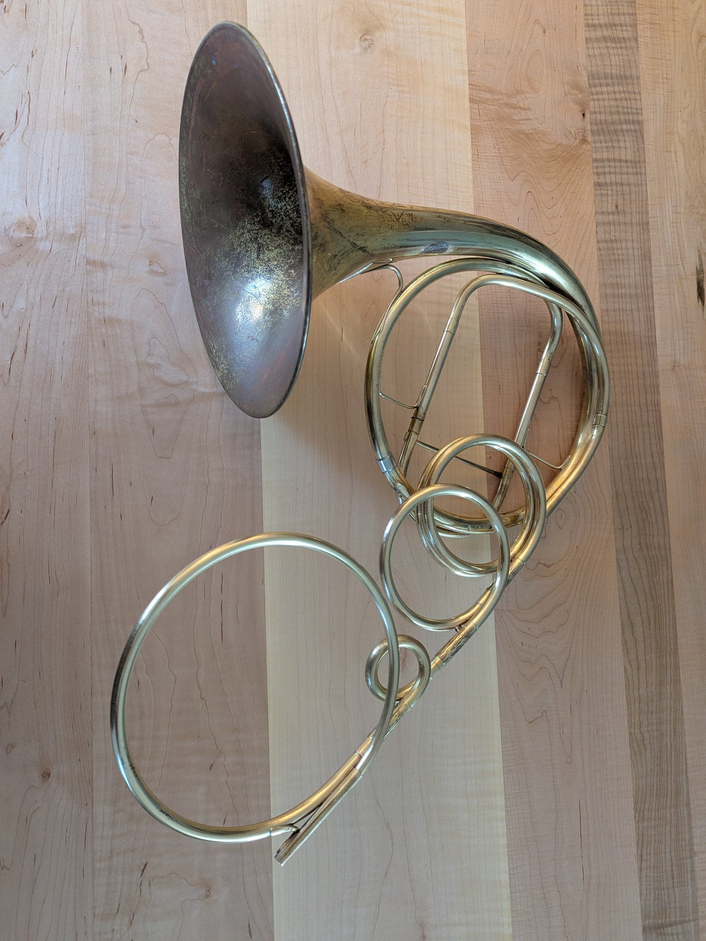 Fixed bell natural horn from vintage bell (Kristy Rispens)