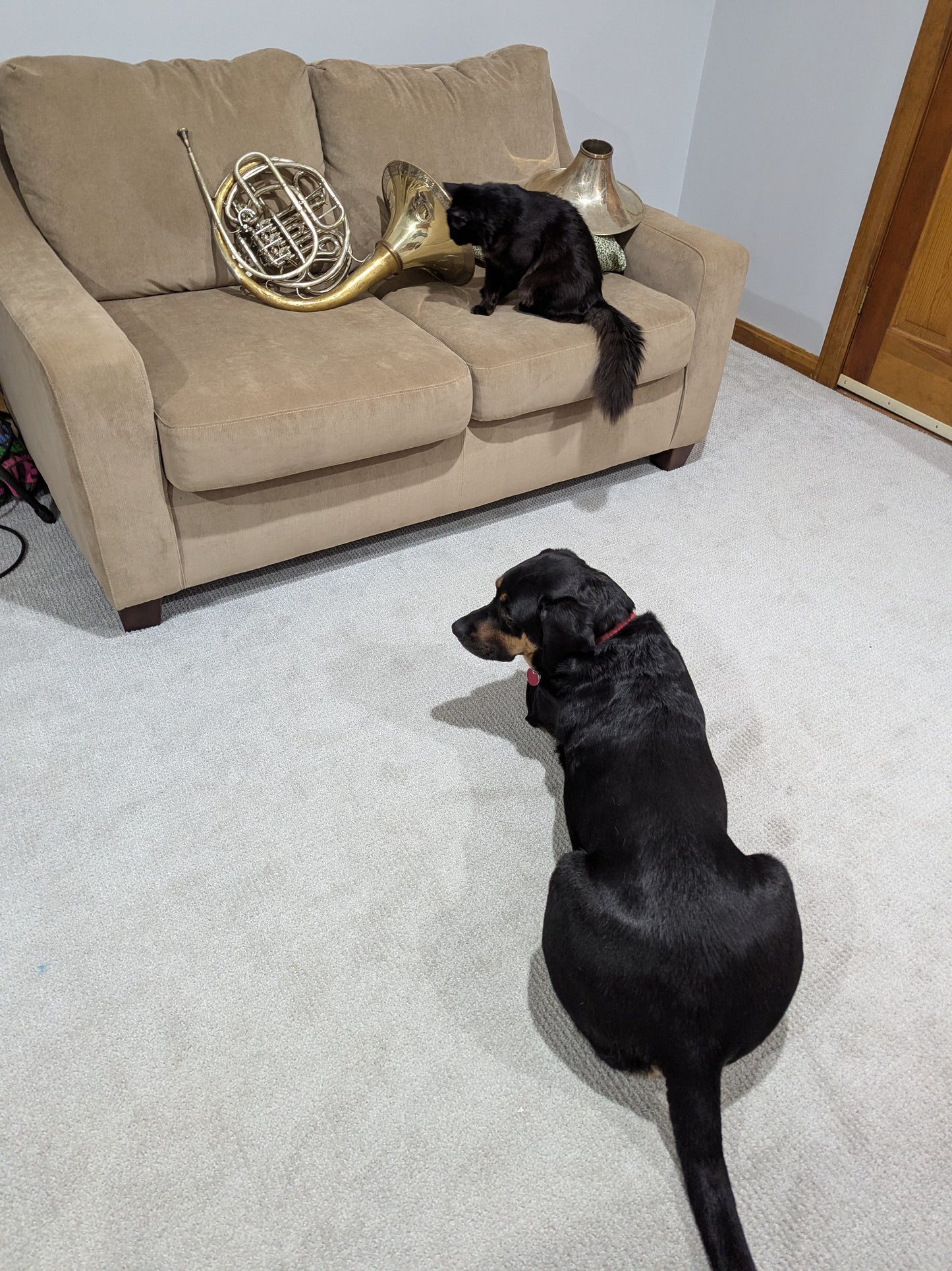 Vintage Conn 4D:  Sigfried’s Call II Bell