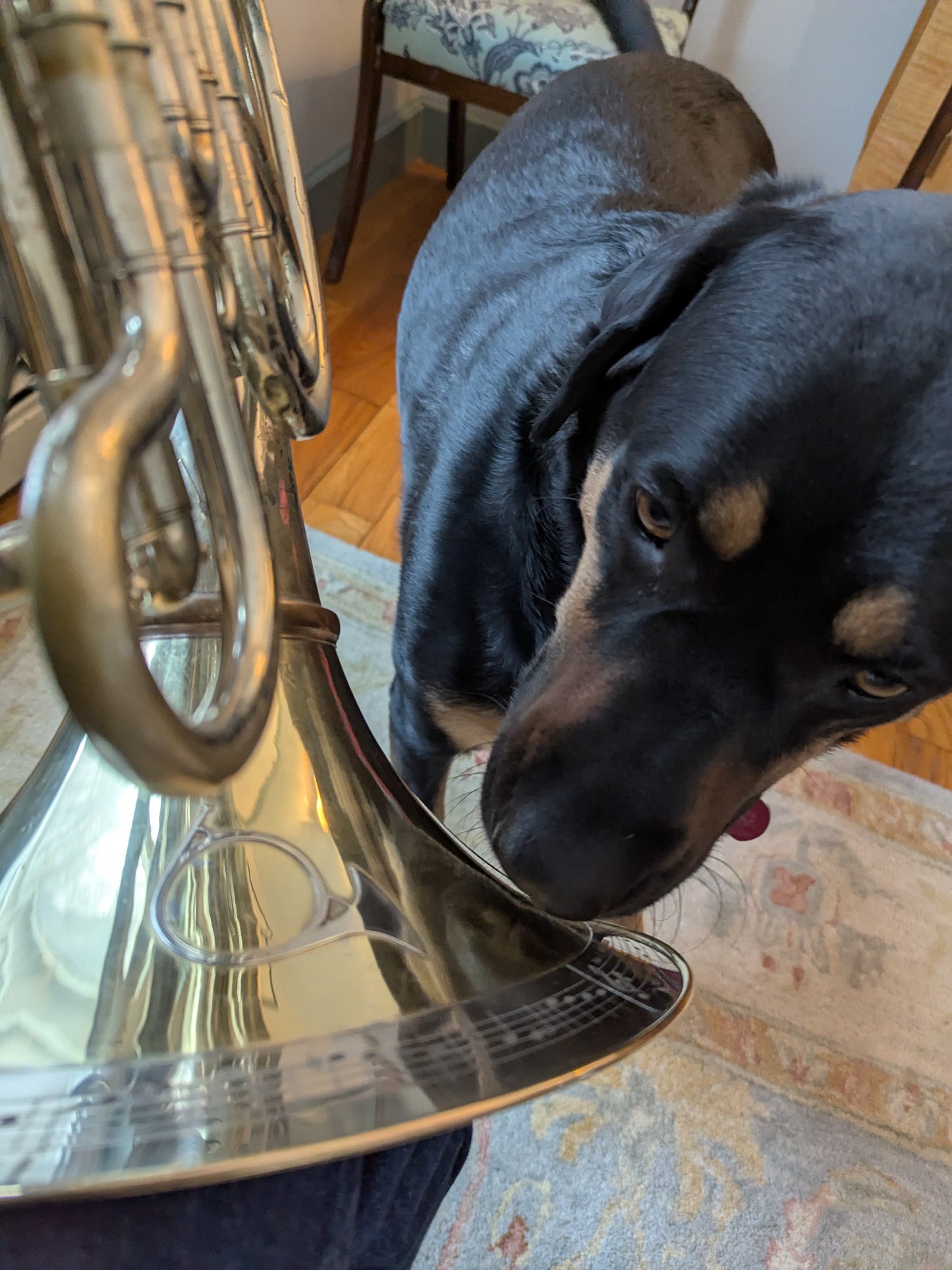 Vintage Yamaha YHR-567:  Kopprasch No. 1 Bell