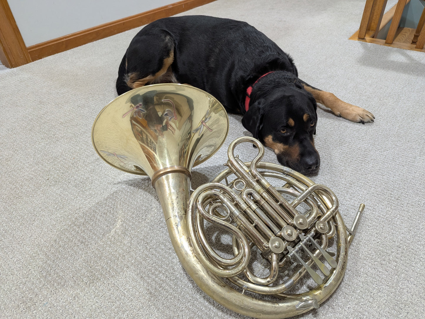 Vintage XO Brass 1650 bell:  Dragon Fly Bell